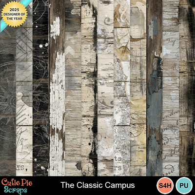 The_classic_campus8