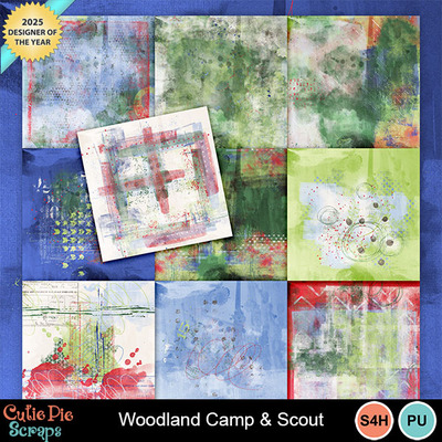 Woodlandcampandscout10