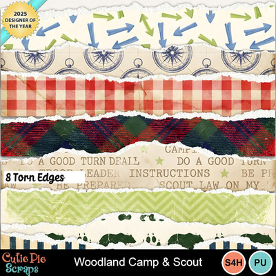 Woodlandcampandscout9