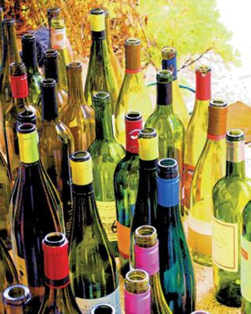 Wine Tasting Bottles Empty Art Print Poster 16x20 inch eBay