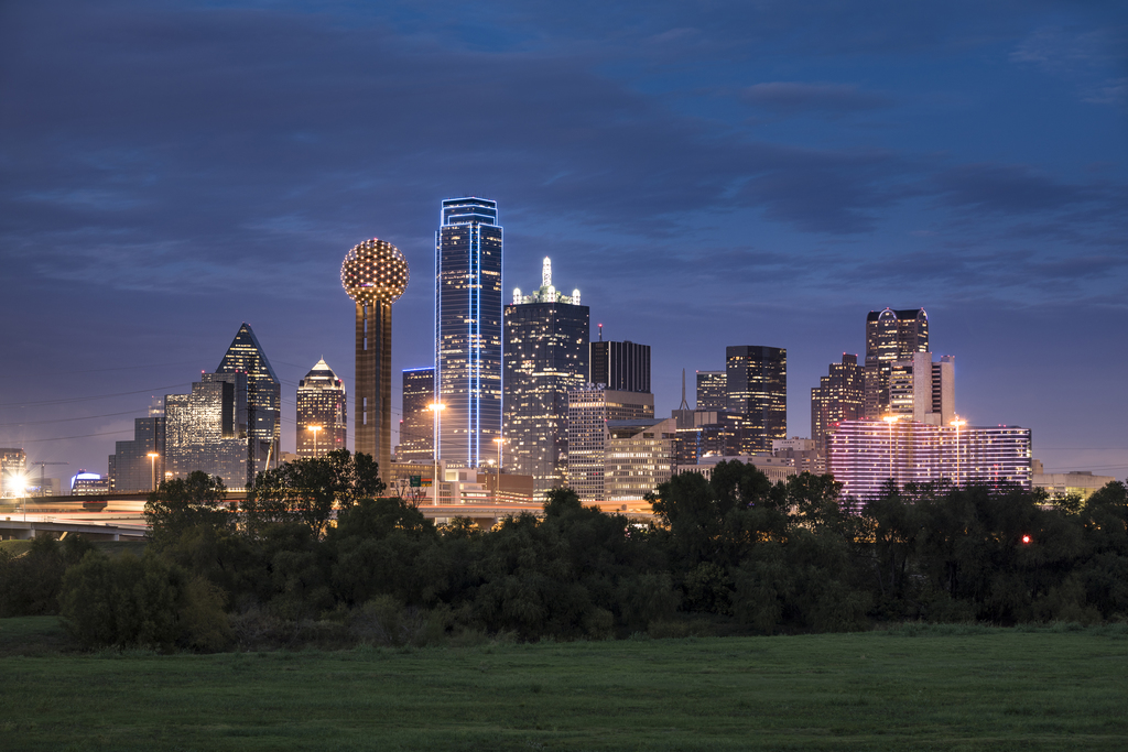 Dallas Texas Skyline Reunion Tower Illuminated At Night Photo Poster