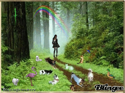 animal forest Picture #59632371 | Blingee.com