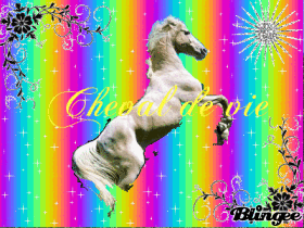 Cheval de vie