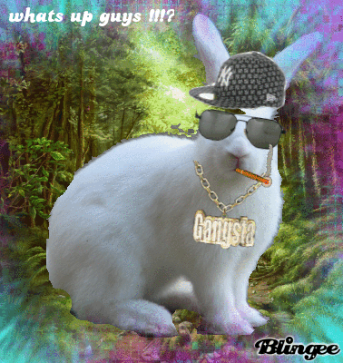 gangsta bunnie !!! Picture #112435563 Blingee