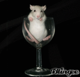 Https Encrypted Tbn0 Gstatic Com Images Q Tbn 3aand9gctvgi6cjwv4ooka3b46 Hcfl2idstzffkxywq1knkthofo47bne Usqp Cau