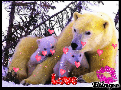 MAMA OSA Y SUS BEBE Picture #115358459 | Blingee.com