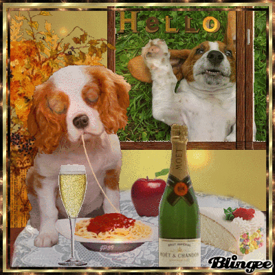 Non c'è peggior sordo di chi non vuol sentire