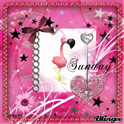 Happy Sunday to all my friends