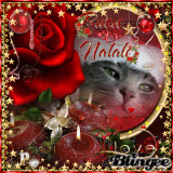 Buon Natale Zero.Https Encrypted Tbn0 Gstatic Com Images Q Tbn 3aand9gcque09gwp2r0y Ku8u Cx8xcrcqwif 9aydeg Usqp Cau