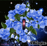 Im Sorry Flowers Pictures P 1 Of 250 Blingee Com