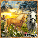 Https Encrypted Tbn0 Gstatic Com Images Q Tbn 3aand9gcqxlbkusxeesurr6anv3zn2gf5anzwsvb3gsa Usqp Cau