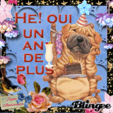 joyeux anniversaire ma soeur Images [p. 1 de 3]  Blingee.com