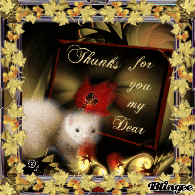 danke mein lieber freund