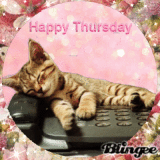 Free Animated Thursday Ecards, Top Rated p. 2 of 5 | Blingee.com