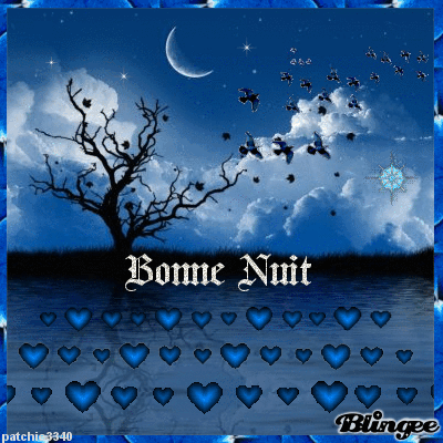 BONNE NUIT BLEUE