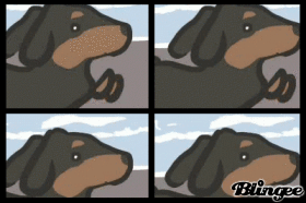 il cane pufoente o codici e download di immagini animate 127823886 778622697 blingee com