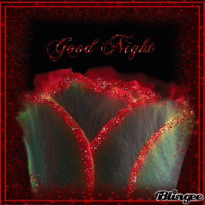 Auch Heute nicht ohne deine Rose