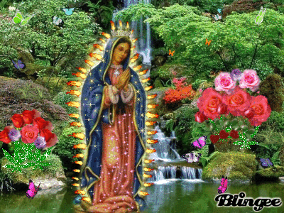 Virgencita De Guadalupe Animated Pictures For Sharing 129871073 Blingee Com