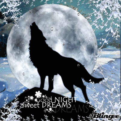 Good Night Wolf In Winter Animated Picture Codes And Downloads 131117633 789398404 Blingee Com A collection of good night images, pictures, comments for facebook, whatsapp, instagram and more.