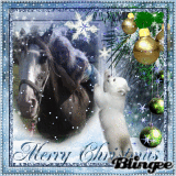 Https Encrypted Tbn0 Gstatic Com Images Q Tbn 3aand9gcsdwlz5vo0nhd Izo Umfhttqedxvyhsokjsw Usqp Cau