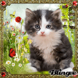 Https Encrypted Tbn0 Gstatic Com Images Q Tbn 3aand9gctgjo9jaigvdrup99eaalq Eqj5nrnlec7qbdldknmqhuweca2j Usqp Cau