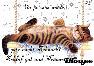 Gute Nacht Animated Pictures For Sharing 132461484