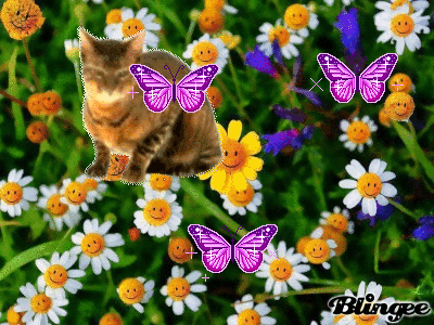 Buongiorno Amici Miei Immagini Animate Da Condividere 132540831 Blingee Com