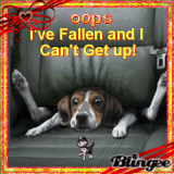 Https Encrypted Tbn0 Gstatic Com Images Q Tbn 3aand9gcrpdwtj6 1ludyxyrfcgeag Jjiultnxc Pjw Usqp Cau