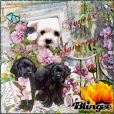 Joyeux Anniversaire Marie Pictures P 1 Of 250 Blingee Com