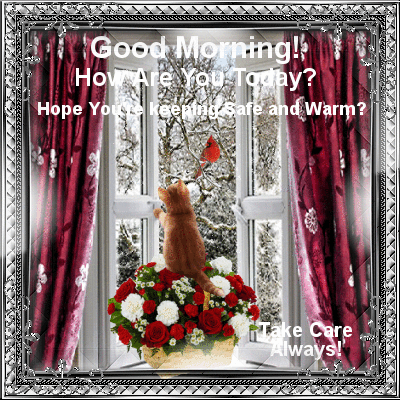 Https Encrypted Tbn0 Gstatic Com Images Q Tbn 3aand9gcsmi7jlutrpsvdlhcb Tlwrclwl7qqec3sef8qn1boujftygtq8