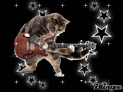 Кот играет на гитаре