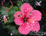A Glitter Flower :D