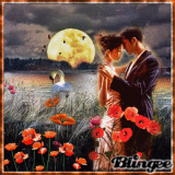 GIF di una notte romantica