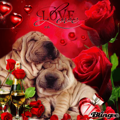 Valentine Dog Animated Picture Codes And Downloads 135674699 838978214 Blingee Com Find & download the most popular dog valentine photos on freepik free for commercial use high quality images over 8 million stock photos. valentine dog animated picture codes