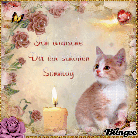 Ich Wunsche Jedem Von Euch Einen Schonen Sonntag Animated Pictures For Sharing Blingee Com