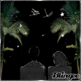 GIF di una notte romantica