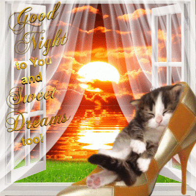 Https Encrypted Tbn0 Gstatic Com Images Q Tbn 3aand9gcrke7bbptpkmpdentalk4ensgoltzyruzoiea Usqp Cau