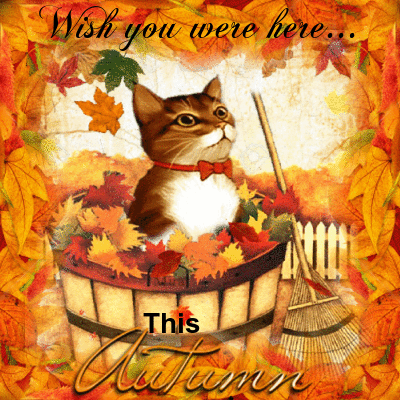 Wish You Were Here With Me Animated Pictures For Sharing Blingee Com