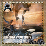 Https Encrypted Tbn0 Gstatic Com Images Q Tbn And9gcqfeu5vgum86hzlk7dkjasx5cdibnf2yih Ja Usqp Cau Contact mawaddah international nasyid group on messenger. blingee com