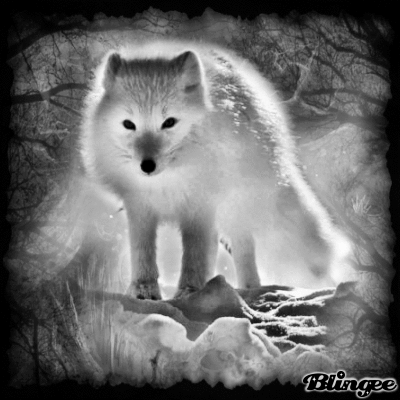 Arctic Fox Art Picture #136356611 | Blingee.com