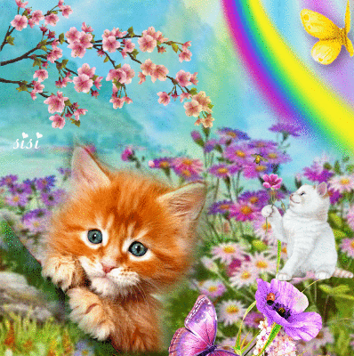 chat qui profitent du printemps