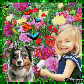 The World is Beautiful