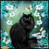 882123130_1078965.gif?4