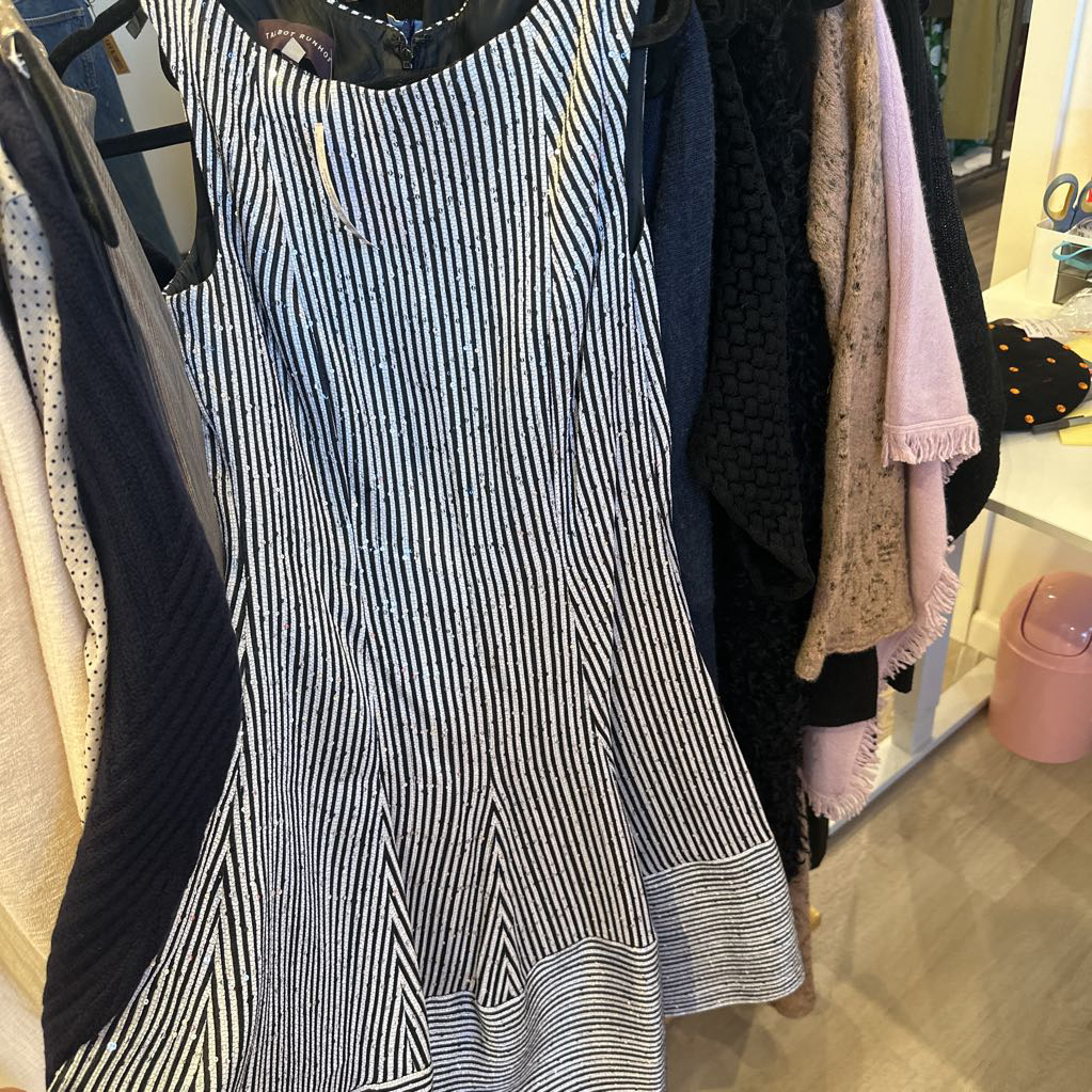 Black and White Sequin Stripe Dress