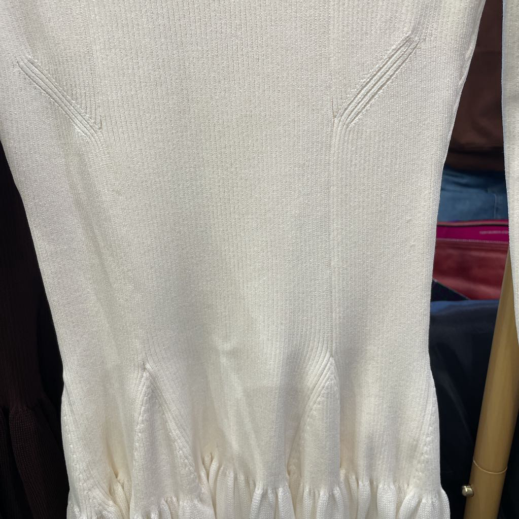 Cream Nylon Blend LS Dress (NWT 1495)