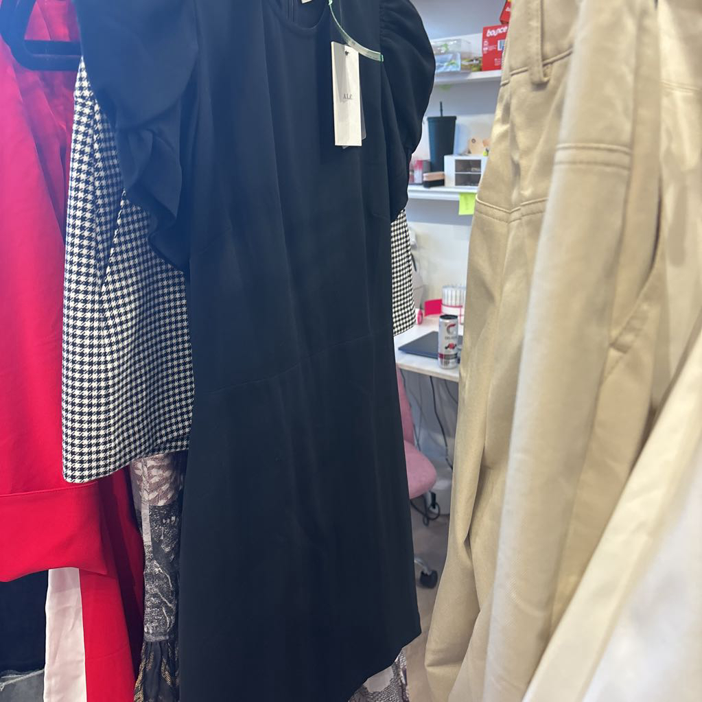 Black Puff Sleeve Mini Dress (NWT)