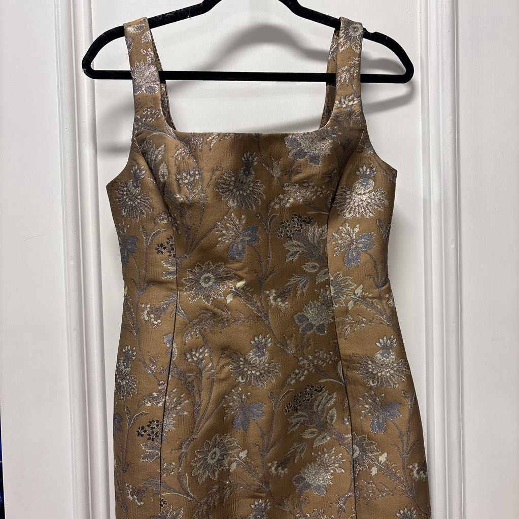Brown Poly Jacquard Dress (NWT 525)
