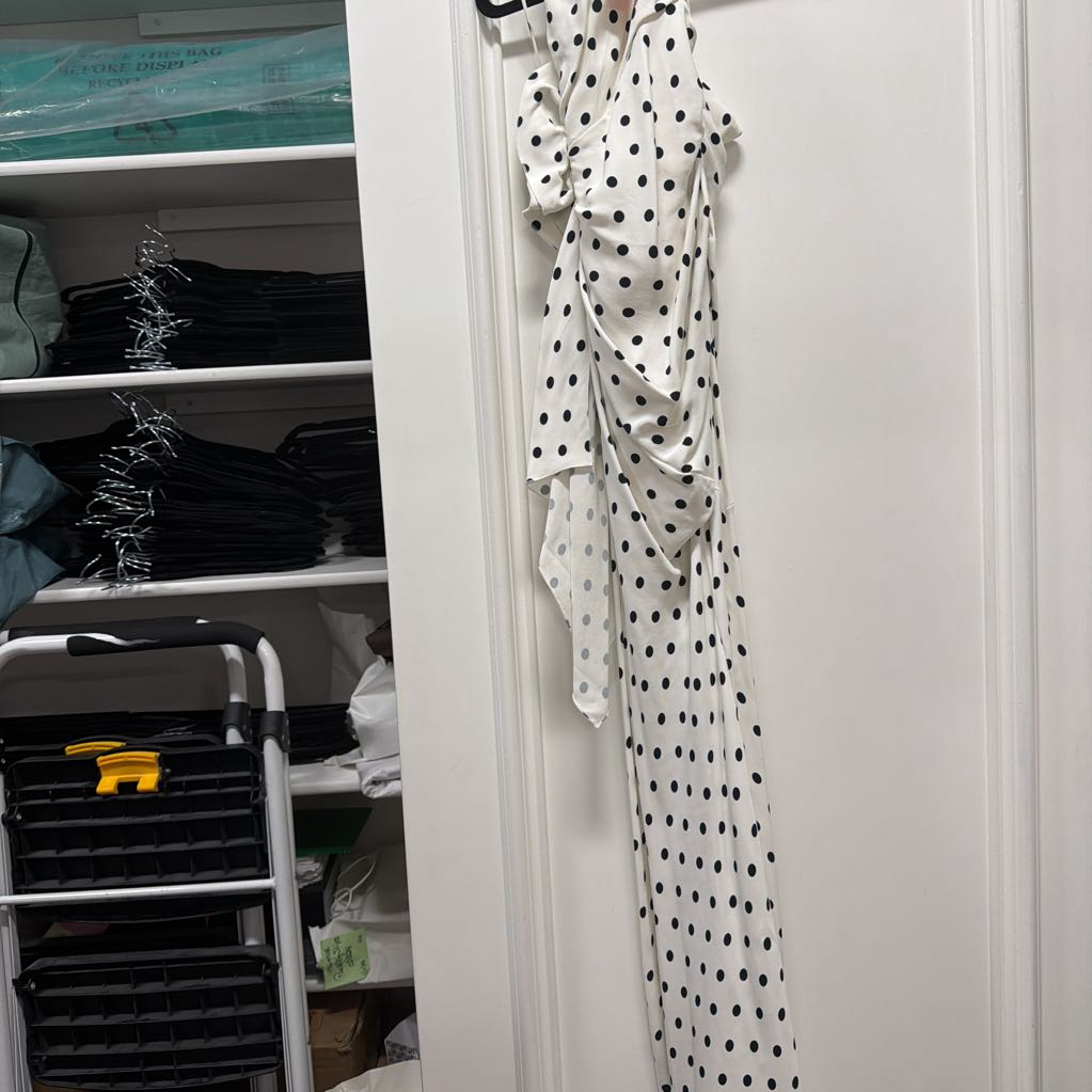 2024 White/Black Polkadot Rose Gown (6500)