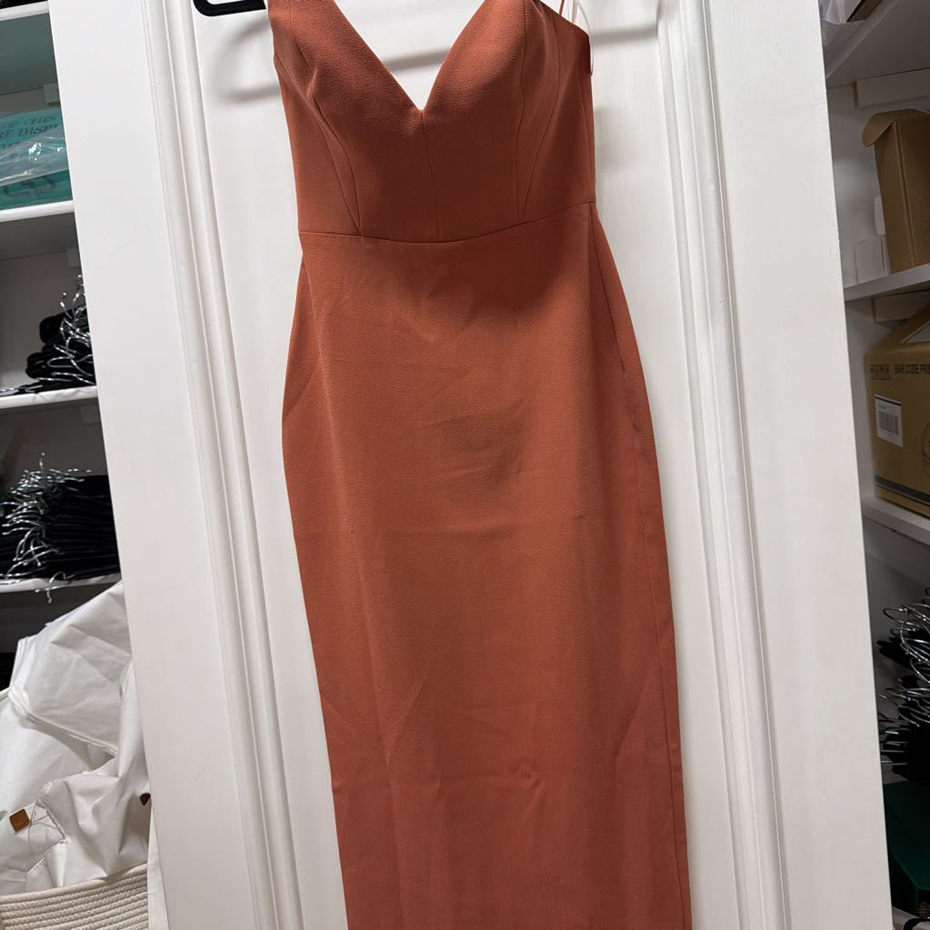 Terracotta Poly Blend Midi Dress (NWT $1,100))