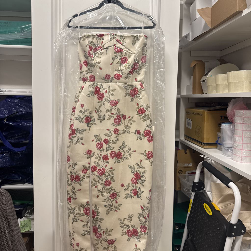Cream Satin Rose Printed Strapless Dress (2200)